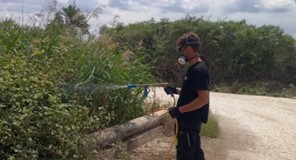 Δήμος Λαρισαίων: Συνεχίζονται οι έλεγχοι και οι εφαρμογές για την καταπολέμηση των κουνουπιών